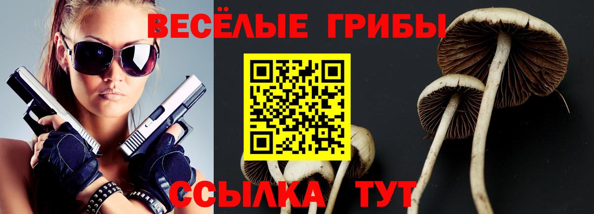 Галлюциногенные грибы мухоморы  Вход с VPN  Павловский Посад 