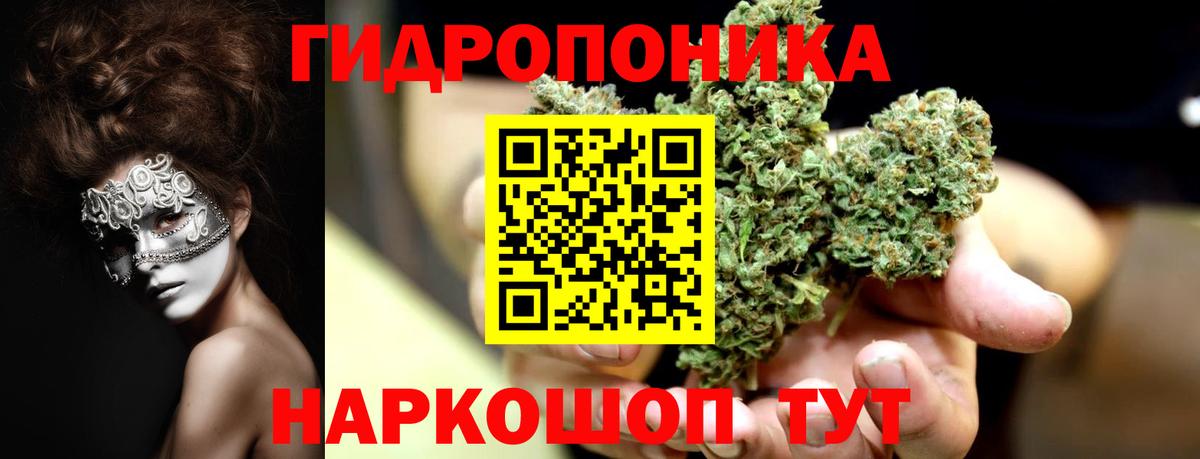 Шишки марихуана сатива Павловский Посад